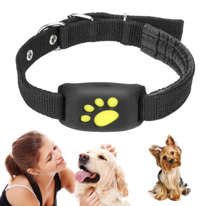 Pet GPS Tracker Collar! 🐾🌐